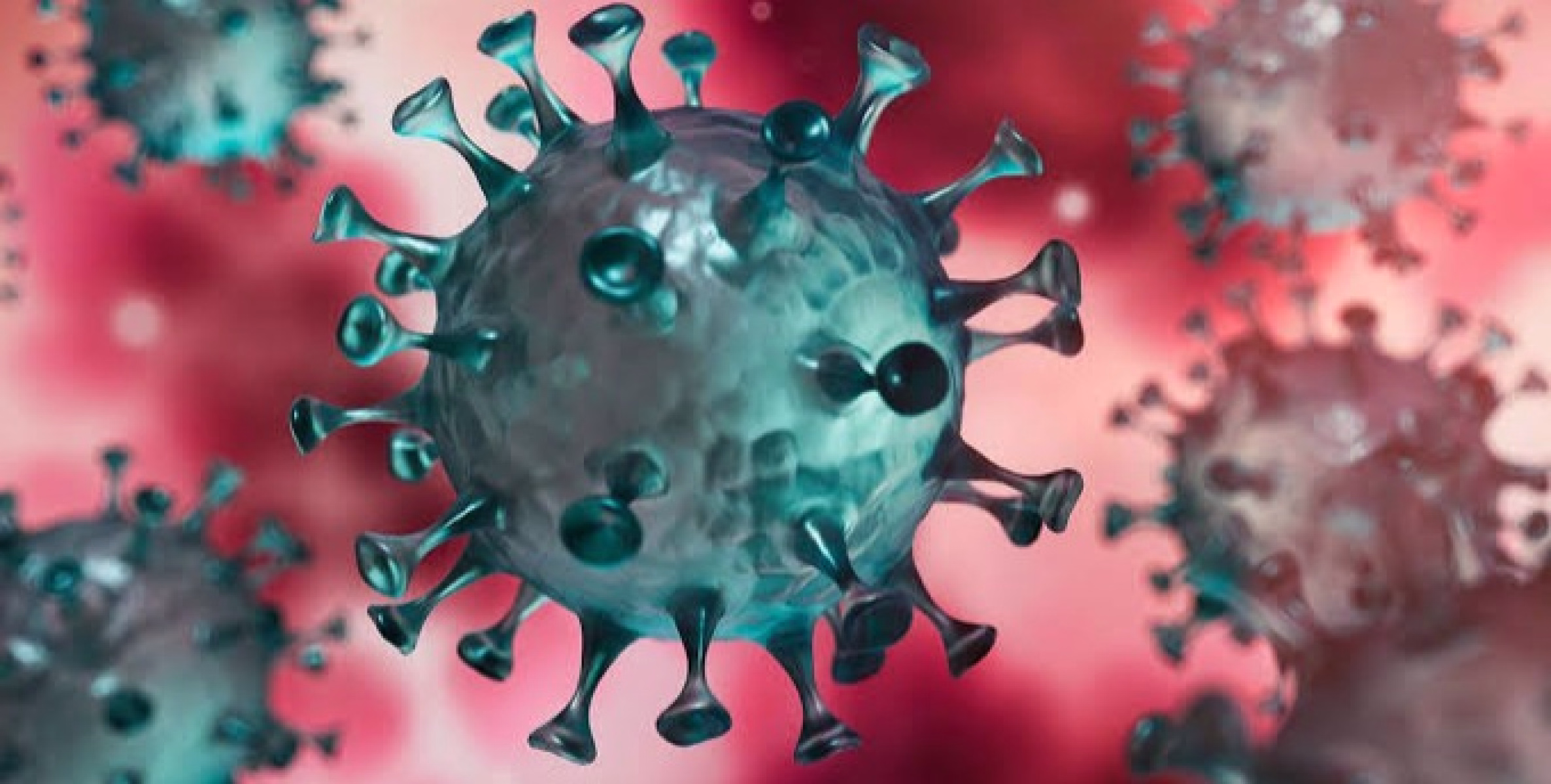 രാജ്യത്ത് കഴിഞ്ഞ 24 മണിക്കൂറിൽ 6,990 പുതിയ കോവിഡ് കേസുകൾ റിപ്പോർട്ട് ചെയ്തു